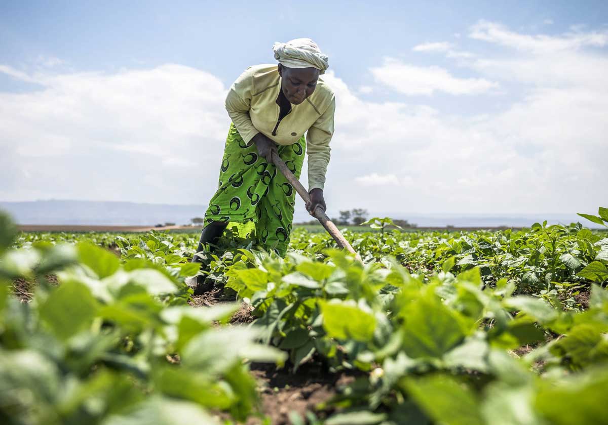 A woman working on a farm