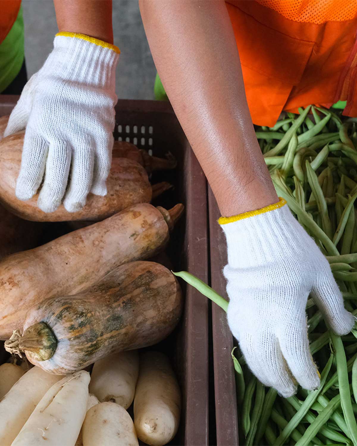 Hands sorting vegetables