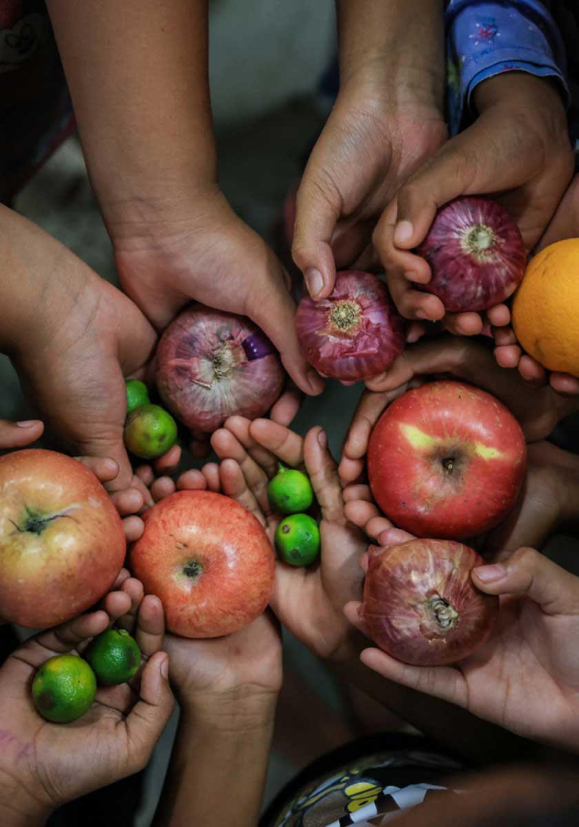 A lot of hands holding fruits