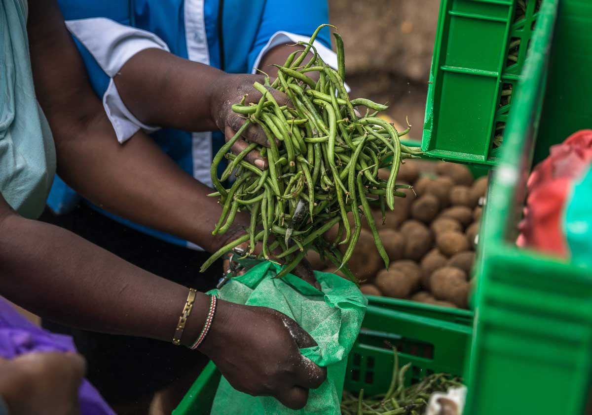 Hands putting vegetables in a green bag