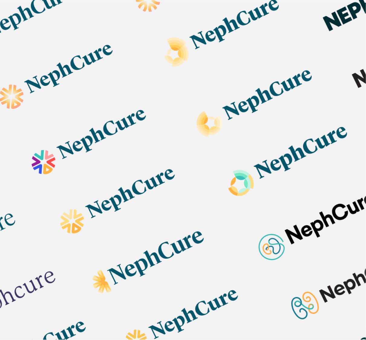 NephCure Nonprofit Brand Logo Exploration