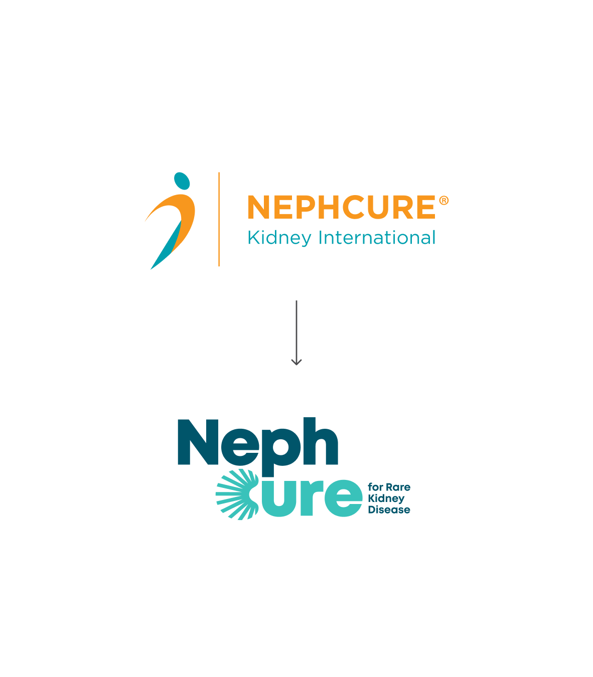 NephCure-Nonprofit-Brand-Logo-Design-Before-and-After