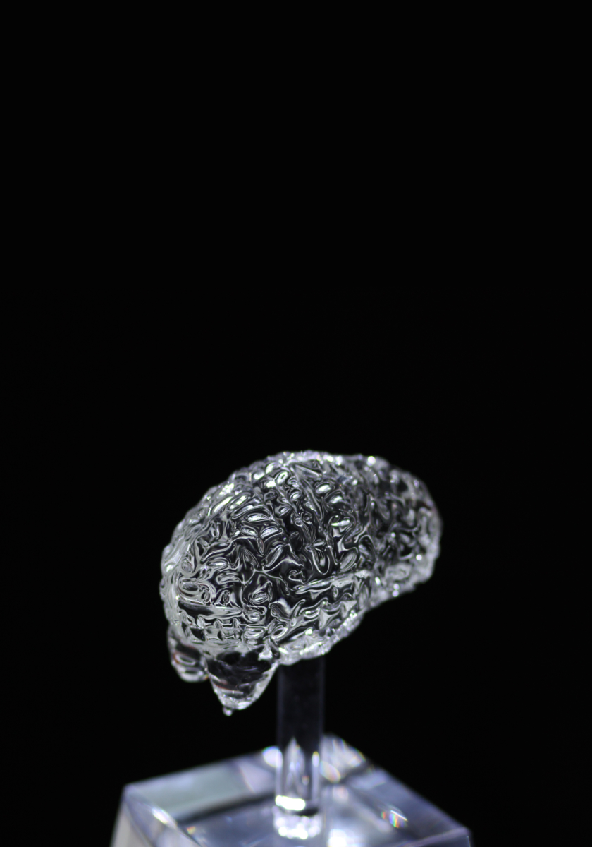 A brain-shaped object made of glass for Sontag Foundation research