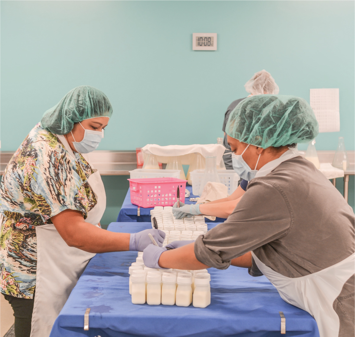 Mothers Milk Bank nonprofit volunteers sorting donor milk