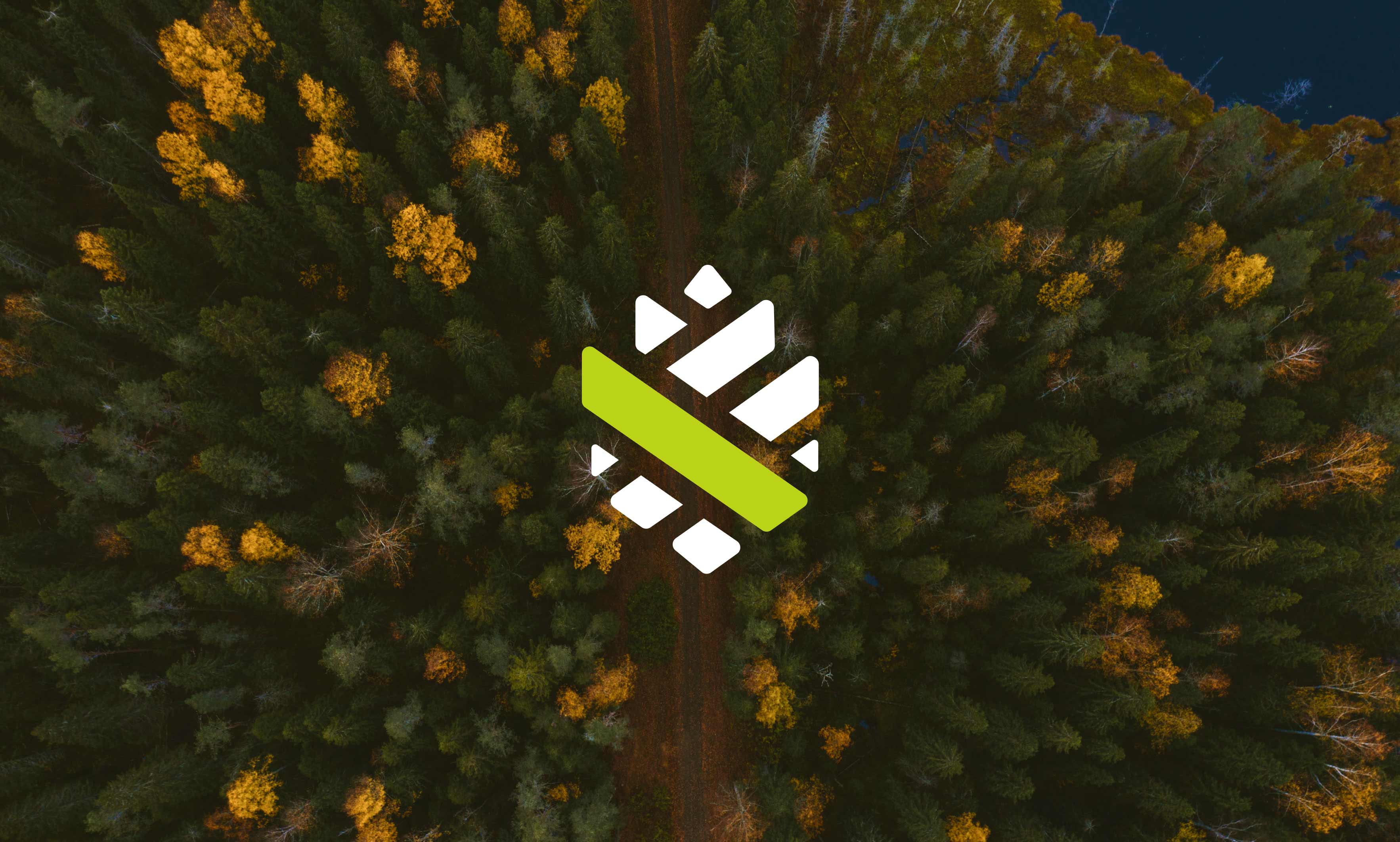 VCF logo design with a view of the forest from above as a background