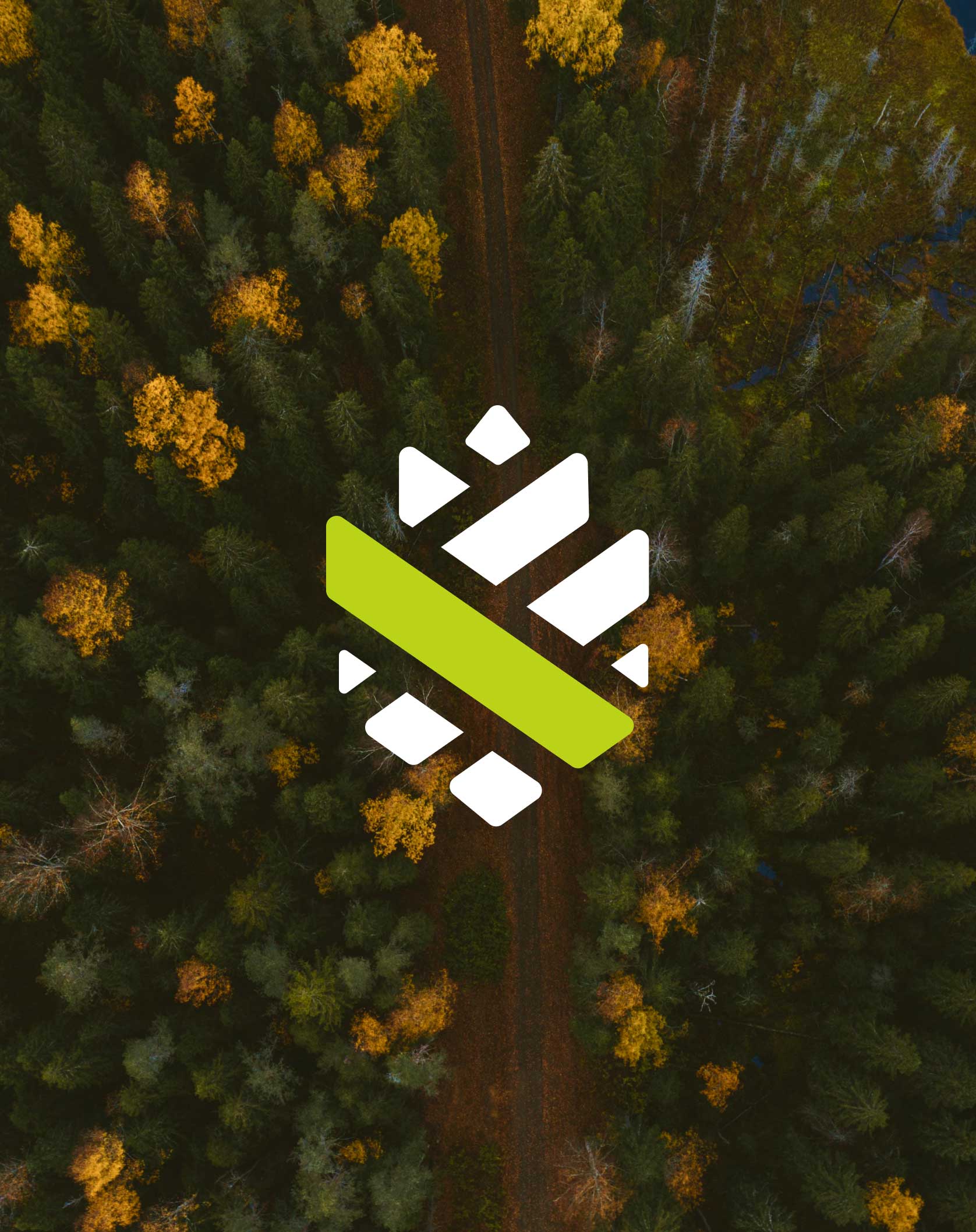 VCF logo design with a view of the forest from above as a background