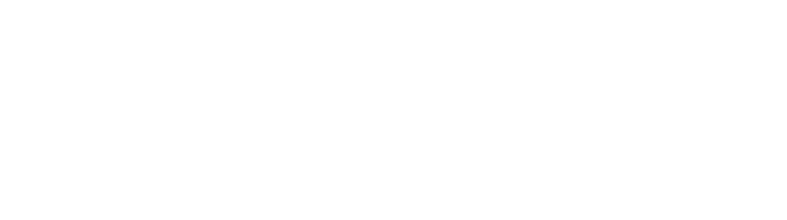 Woods System of Care